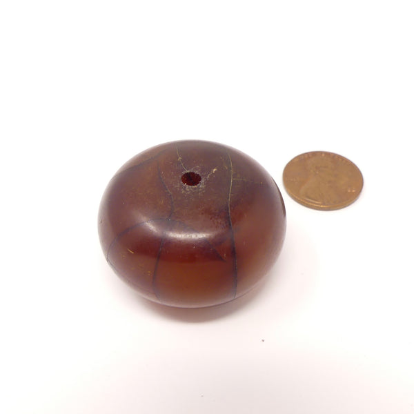 African Amber, Rare Dark Red, Oblate, 21x36mm