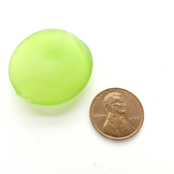 Contempo Murano Hollow Glass Beads, Coin Shape Lime Green, 31mm Diameter