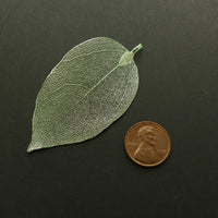 Metal Leaves, Light as a Feather Silvery Light Green Plated, 1.5x2.5 inches, Sold Individually