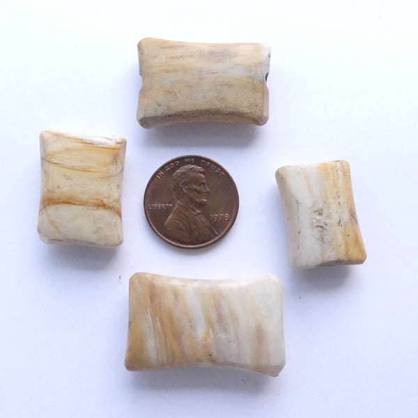 Opalized Palmwood, Vintage, Capstan/Rectangle 4 sizes, Set of 4