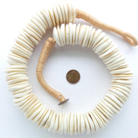 Conch Shell Slices, Large Indian Necklace