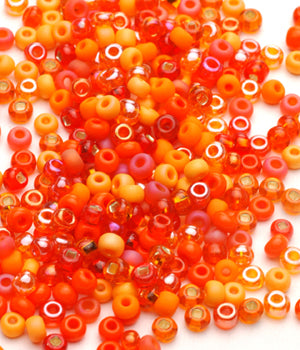 Seed Beads, Size 6, Mix Big LA Orange