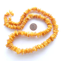 Amber Baltic, Chips, Graduated, Butterscotch Color, 25-inch Strands