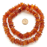 Amber, Baltic Large Flattend Semi-Matte Chips, 4x12mm on 25" Strand