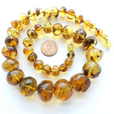 Amber Graduated Rounded Nuggets, 20" Necklace